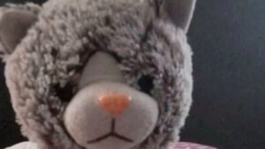 Extorsión a una familia: Pagaron $200 mil para recuperar el peluche de su hijo con autismo imagen-2