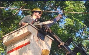 Arranca operativo de poda para despejar infraestructura eléctrica en Posadas imagen-1