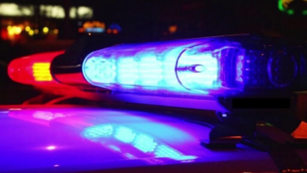 Una joven fue brutalmente asesinada y detuvieron a su ex pareja imagen-69
