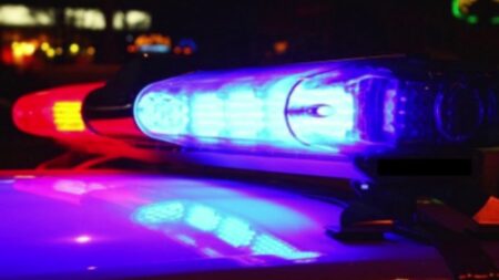 Una joven fue brutalmente asesinada y detuvieron a su ex pareja imagen-122
