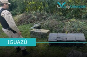 Prefectura secuestró más de 78 kilos de marihuana en la costa de Iguazú, valuada en 211 millones de pesos imagen-3