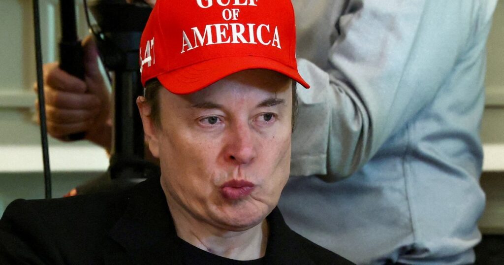 El fin del romance entre Trump y Musk deja una lección imagen-4