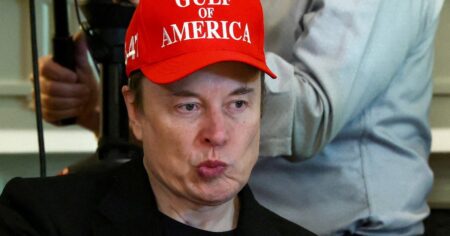 El fin del romance entre Trump y Musk deja una lección imagen-15