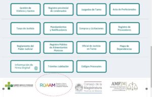 En el Día Internacional de la Familia: recordamos que todas las infancias merecen tener una familia. imagen-3