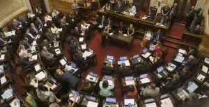 El Gobierno nacional repudió el rechazo a la Ley de Ficha Limpia: “El Senado se consolida una vez más como el refugio de la casta política” imagen-9