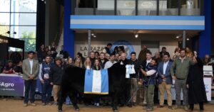 Semana Angus de Otoño: el Supremo Gran Campeón Angus fue para Quequén Sur y la Suprema Gran Campeona para La Alianza imagen-2