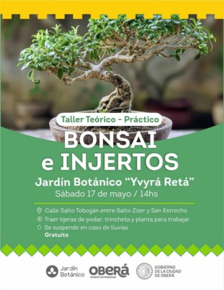 Viví un finde con actividades en el Jardín Botánico de Oberá | OberaInside.com.ar La Noticia Junto a VosViví un finde con actividades en el Jardín Bot... imagen-5