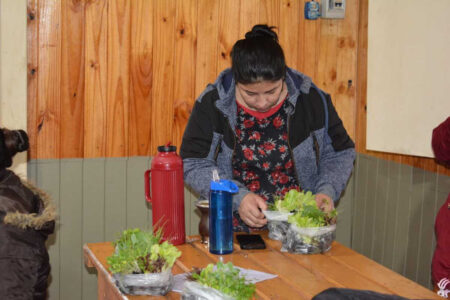 Entrega de Plantines de Verduras en el Barrio Osorio | OberaInside.com.ar La Noticia Junto a VosEntrega de Plantines de Verduras en el Barrio Osorio imagen-6