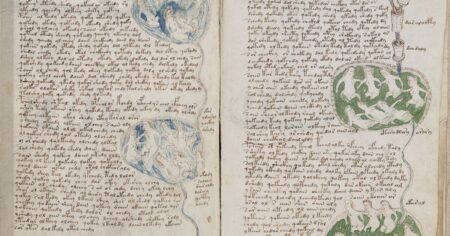 El manuscrito Voynich: el libro que se lee y no tiene hojas imagen-8