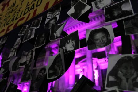 Ni Una Menos: las estadísticas del dolor imagen-6