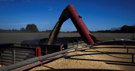 El campo liquidó más de US$ 3.000 millones en mayo imagen-10