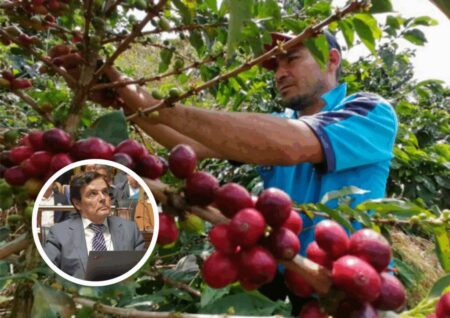 Rovira presentó una ley que impulsa un modelo de producción rural más diverso y sustentable imagen-9