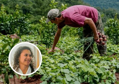 Arabela Soler: “Las chacras multiproductivas permiten ingresos todo el año y cuidan el ambiente” imagen-18