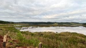 Misiones amplía su red de conservación: crean el Paisaje Protegido Arroyo Cazador en San Ignacio imagen-6