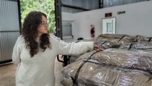 Misiones: nueva carga de 20 mil kilos de azúcar mascabo misionera partieron rumbo a la marca Cachafaz imagen-8