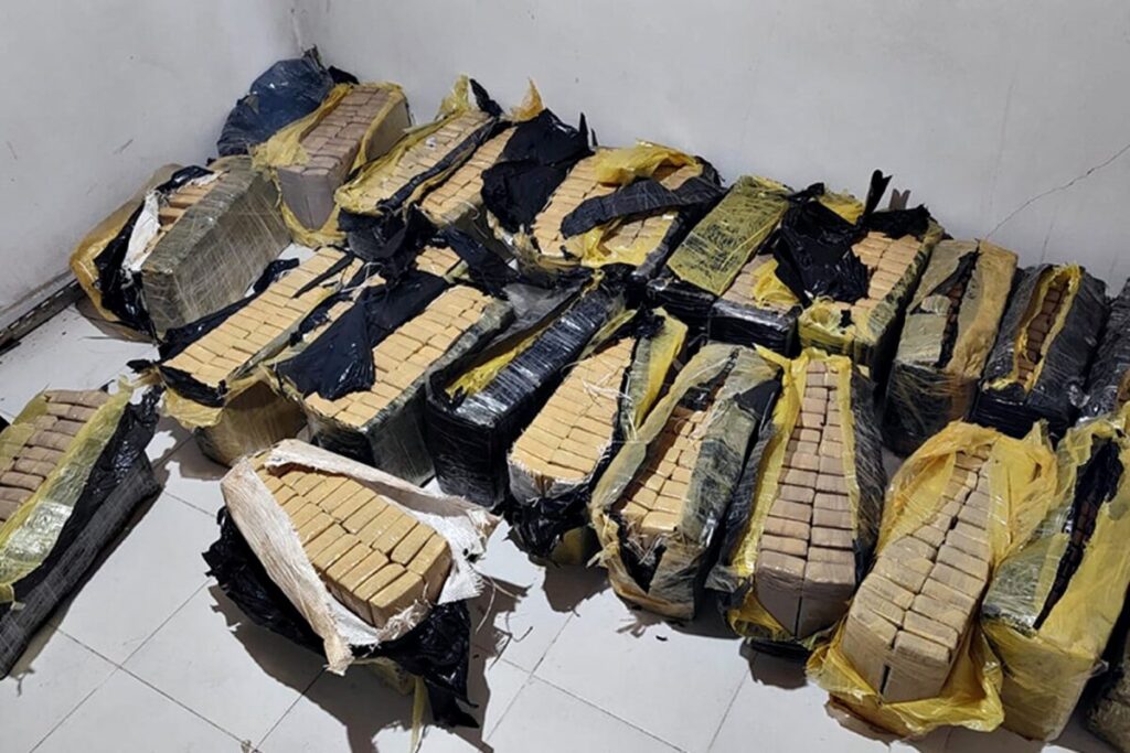 Crimen, droga y una detenida: descubren 512 kilos de marihuana en casa allanada por un homicidio imagen-4