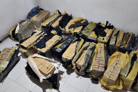 Crimen, droga y una detenida: descubren 512 kilos de marihuana en casa allanada por un homicidio imagen-8