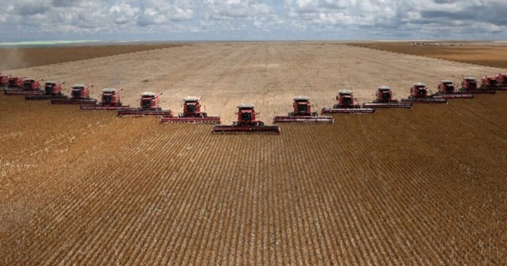 El ejemplo brasileño obliga al campo argentino a la madurez política imagen-97