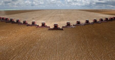 El ejemplo brasileño obliga al campo argentino a la madurez política imagen-14