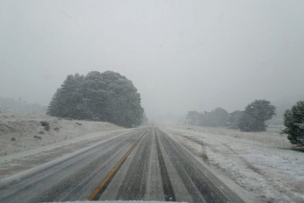 Ola polar en la Argentina: ¿puede nevar en Buenos Aires? imagen-3