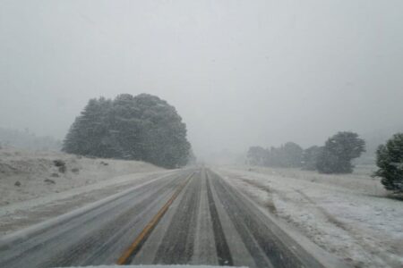 Ola polar en la Argentina: ¿puede nevar en Buenos Aires? imagen-6