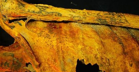Una momia única: era hechicera, murió hace 3.000 años y tiene 30 tatuajes mágicos imagen-7