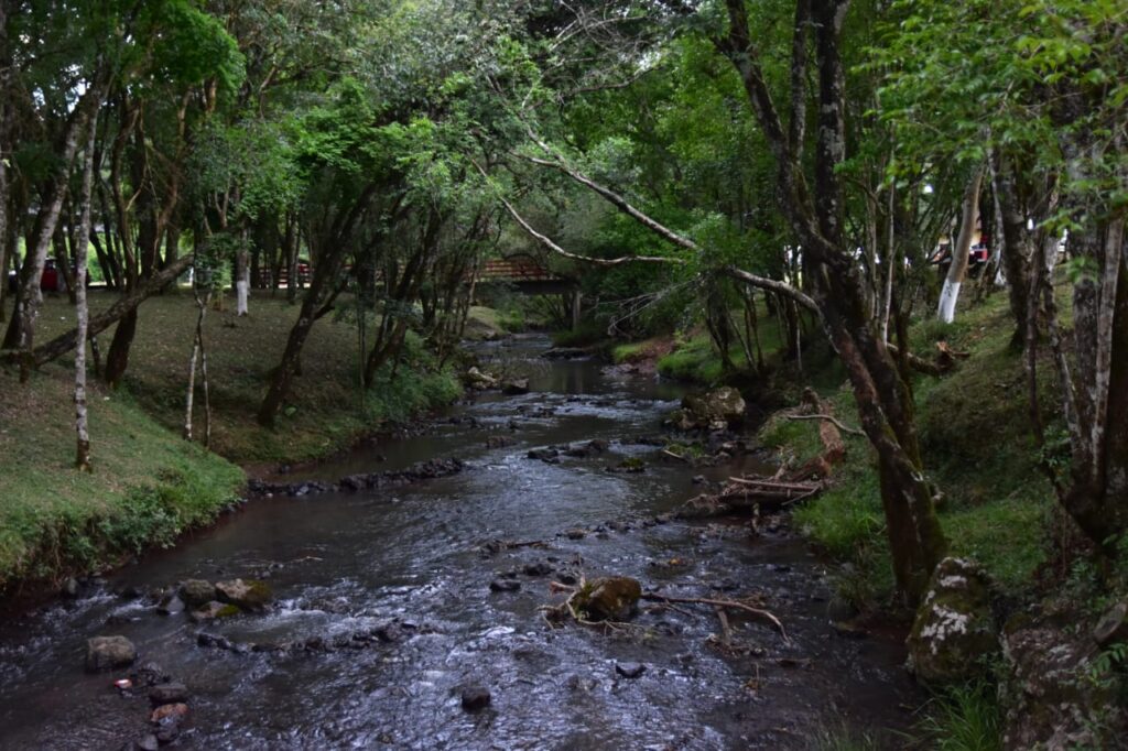 Invierno verde: la propuesta de Colonia Chapá para esta temporada imagen-5