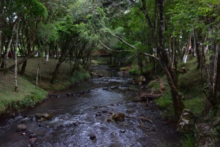 Invierno verde: la propuesta de Colonia Chapá para esta temporada imagen-26