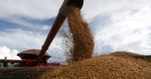 Pese a la presión del campo, el Gobierno oficializó la suba de las retenciones a la soja y al maíz imagen-2