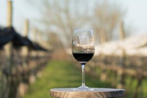 ¿Qué significa que un vino es DOC? imagen-2