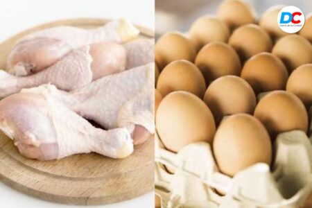 Denuncian ingreso ilegal de pollos y huevos en zonas fronterizas imagen-121