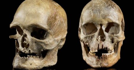 ¿Quiénes fueron realmente los primeros europeos? La genética revela la verdad imagen-8