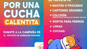 “Por una cucha calentita”: El Refugio lanzó su campaña invernal imagen-2