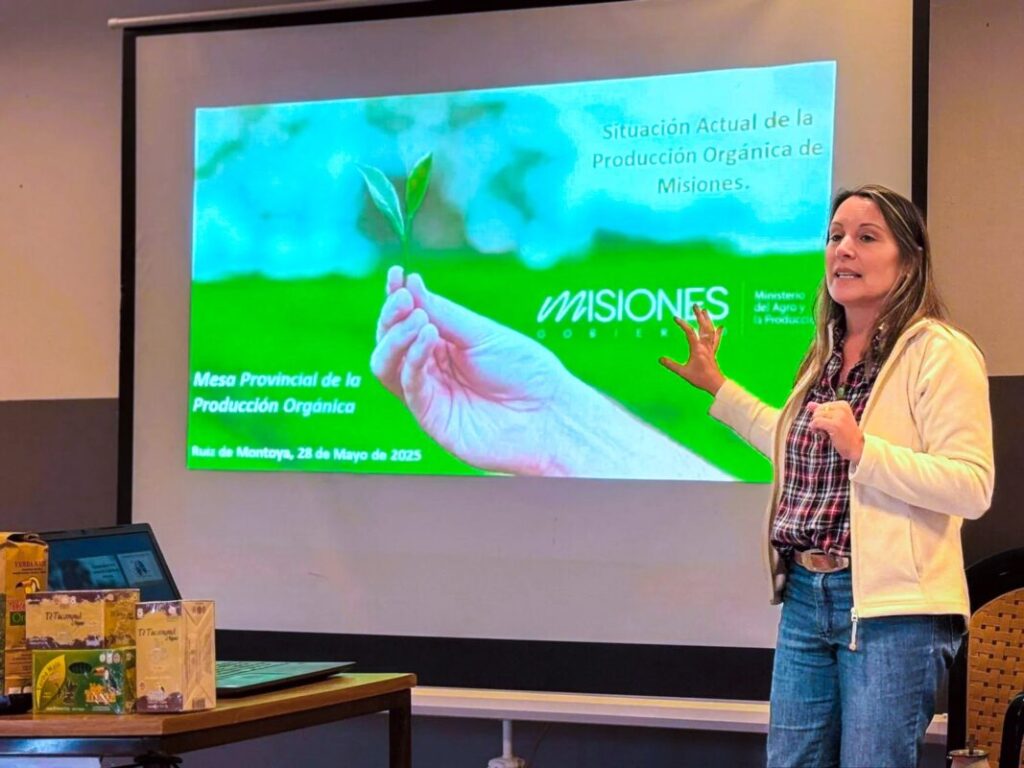 CON PLANIFICACIÓN ESTRATÉGICA Y FORMACIÓN TÉCNICA EN LAS CHACRAS, MISIONES PROFUNDIZA SU MODELO DE PRODUCCIÓN ORGÁNICA imagen-5