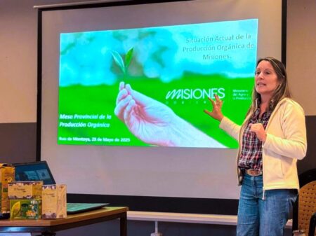 CON PLANIFICACIÓN ESTRATÉGICA Y FORMACIÓN TÉCNICA EN LAS CHACRAS, MISIONES PROFUNDIZA SU MODELO DE PRODUCCIÓN ORGÁNICA imagen-87