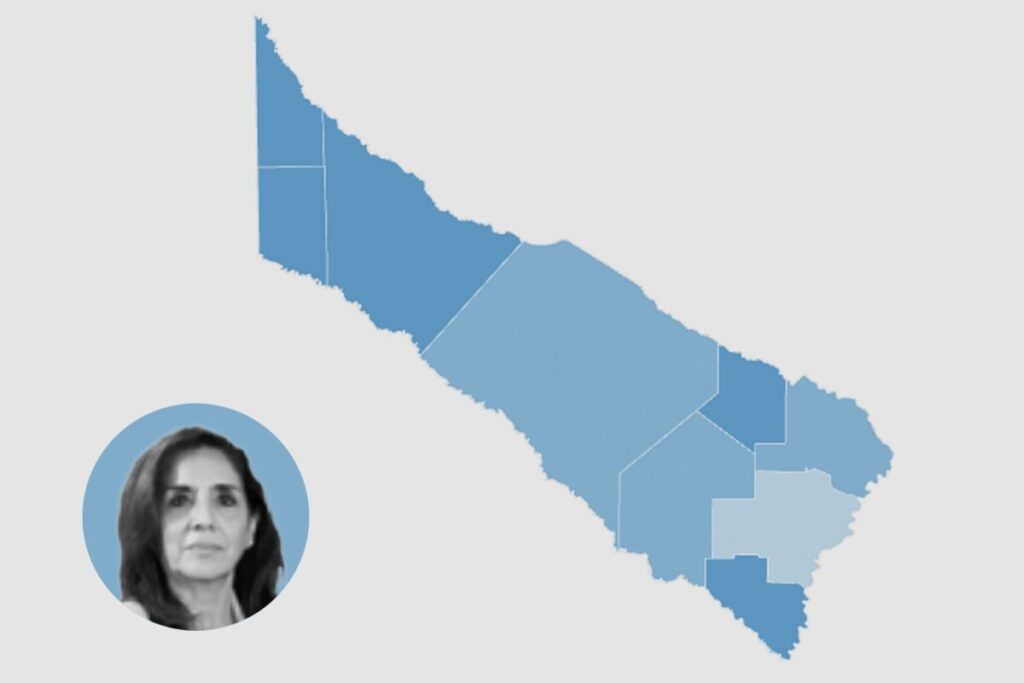 Elecciones en Formosa: el mapa de resultados de las elecciones constituyentes y legislativas imagen-5