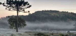 “Probablemente tengamos en Misiones temperaturas más bajas que en la Patagonia”, anticipó el meteorólogo Favio Cabello imagen-8