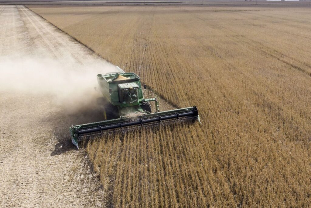 Aparecieron cisnes negros en la campaña agrícola y más maquinaria importada imagen-5