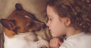 Por qué tu perro elige dormir en tu almohada y qué quiere decir imagen-1