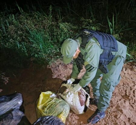 Hallan 915 kilos de marihuana acopiados a la vera del río Paraná imagen-8