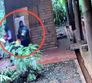 Detuvieron a dos hombres y recuperaron objetos robados en múltiples procedimientos imagen-70