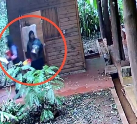 Detuvieron a dos hombres y recuperaron objetos robados en múltiples procedimientos imagen-8