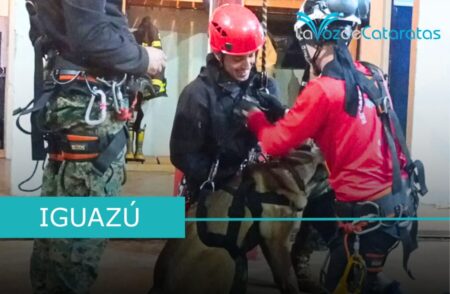 Entrenamiento conjunto entre la Unidad K9 de Bomberos Voluntarios, y la Sección Canina del GOE imagen-71