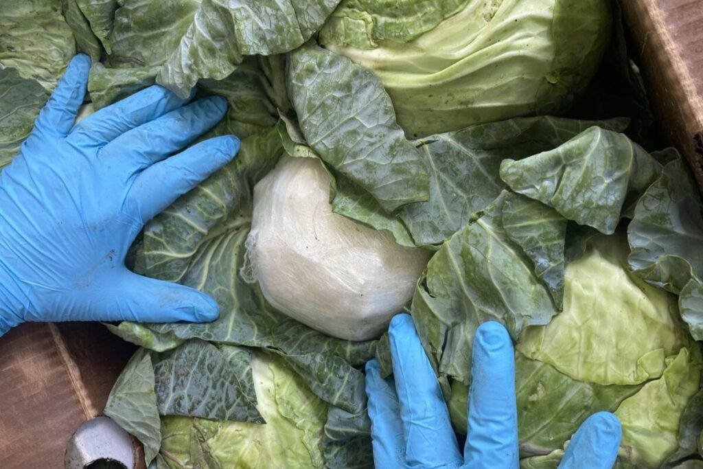 ICE y CBP revisaron un cargamento en Texas y lo que encontraron en el interior los dejó mudos imagen-5