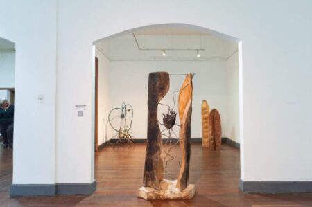El Museo Provincial Juan Yaparí recibe la primera etapa del recorrido itinerante de la Bienal Cainguás con esculturas sobre biodiversidad imagen-5