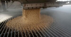 Volatilidad en el mercado de soja: riesgos geopolíticos y cambios regulatorios redefinen la dinámica global imagen-1