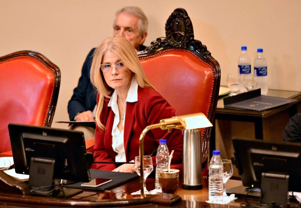 La fuerte reacción de la oposición a la media sanción para la reelección indefinida de legisladores bonaerenses imagen-5