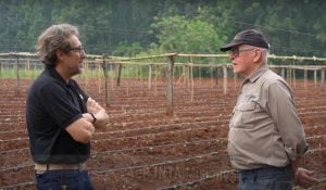 Falleció Oscar Pérez, un referente de la diversificación productiva en Misiones imagen-2