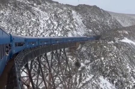 Video: una nevada sorprendió a más de 300 pasajeros a bordo del Tren a las Nubes en Salta imagen-10