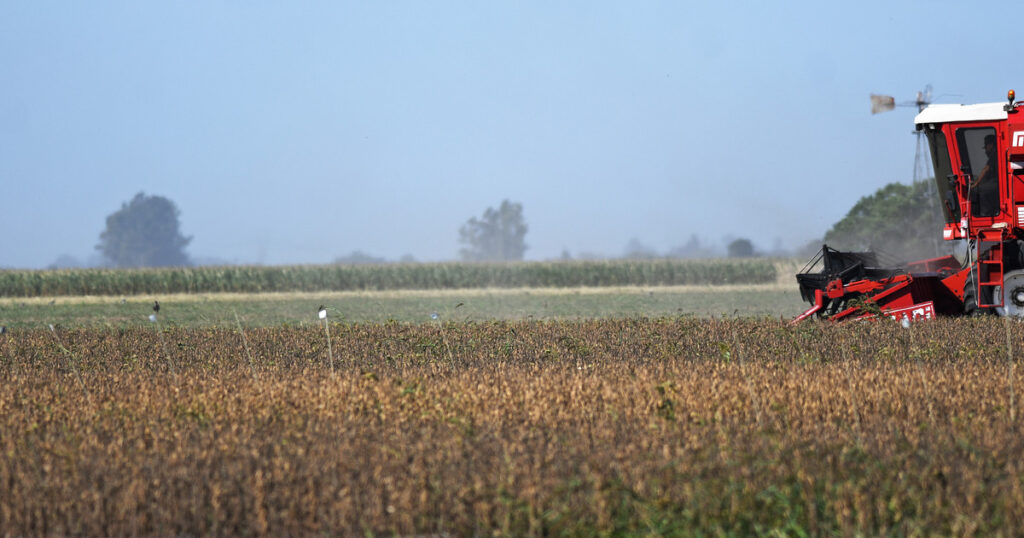 El Gobierno respondió a los reclamos del campo por el regreso de las retenciones: "No se puede pedir que las bajemos de un día para el otro" imagen-5